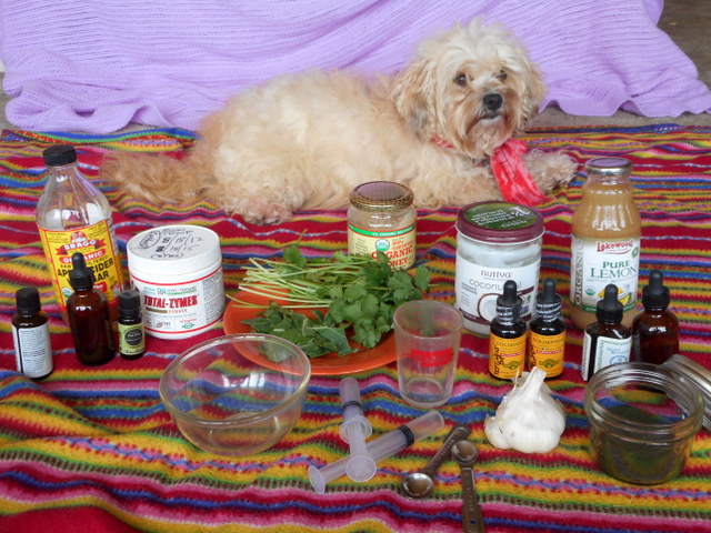 Many natural remedies for dogs can be found in your kitchen