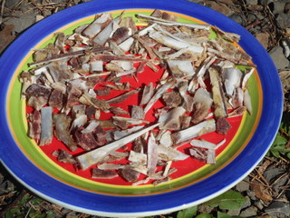 My dog's left-over meaty bone snacks