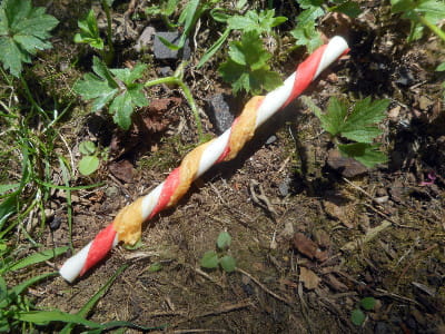 This unhealthy doggie treat looks pretty like a candy cane!