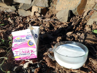 You should not feed this unhealthy milk to your dog