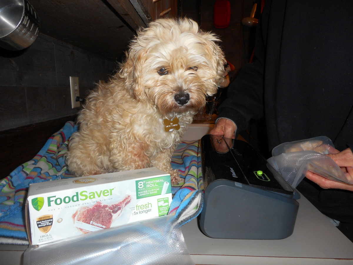 Your frozen organic dog food should be vacuum sealed!